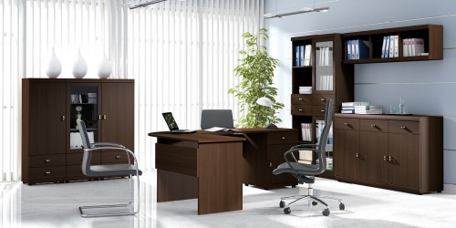 Кабинет MERIS SZYNAKA